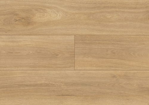 8mm 4917 Olasz tölgy - Kronopol