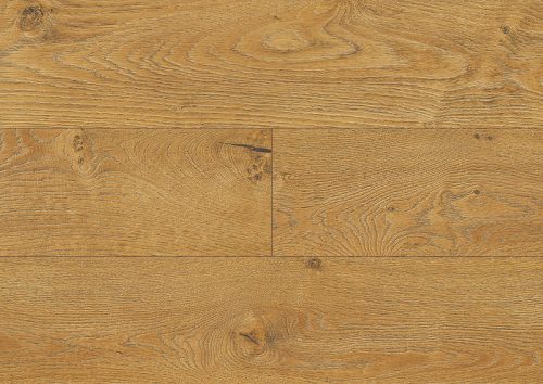 10mm 4909 Mamre tölgy - Kronopol