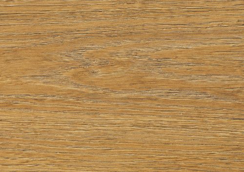 10mm 4909 Mamre tölgy - Kronopol