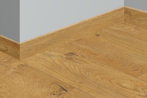 10mm 4909 Mamre tölgy - Kronopol