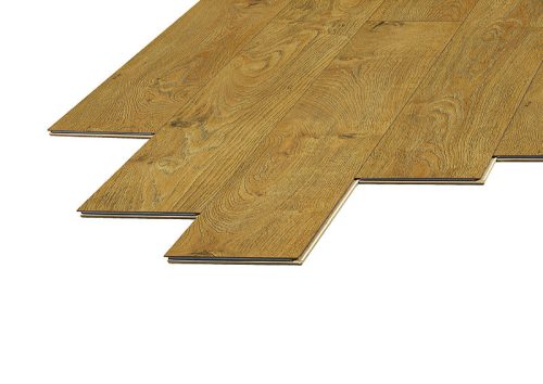 10mm 4909 Mamre tölgy - Kronopol