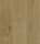 8mm Daisy Oak - BerryAlloc (TRENDLINE)