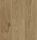 8mm Lotus Oak - BerryAlloc (TRENDLINE)