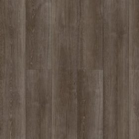 Domino SPC Acoustic Brandon